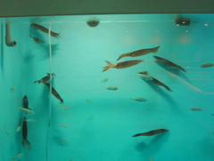 IMG_4075.JPG