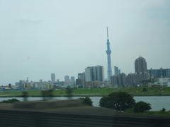 IMG_4261.JPG