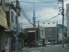 IMG_4267.JPG