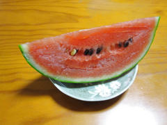 IMG_4287.JPG