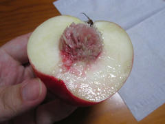 IMG_4293.JPG