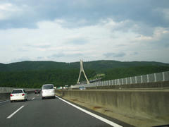 IMG_4575.JPG