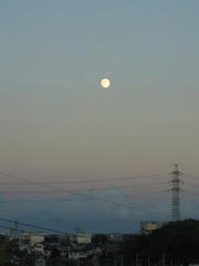 IMG_4912.JPG