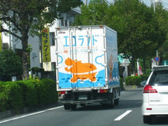 IMG_5078.JPG