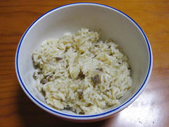 IMG_5095.JPG