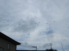 IMG_5290.JPG