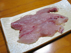 IMG_5332.JPG