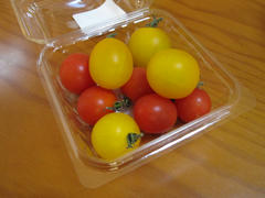IMG_5453.JPG