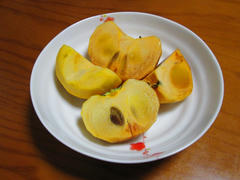 IMG_5628.JPG