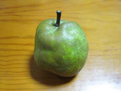 IMG_5637.JPG