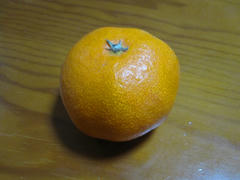 IMG_5787.JPG