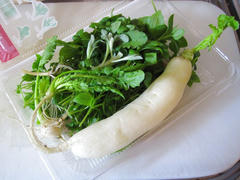 IMG_6157.JPG