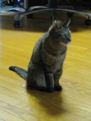 IMG_6990.JPG