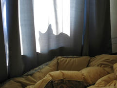 IMG_7100.JPG