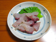 IMG_7146.JPG