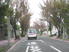 IMG_7325.JPG