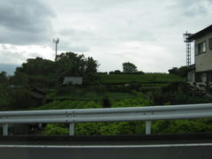 IMG_7339.JPG