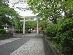 IMG_7354.JPG