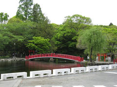 IMG_7371.JPG