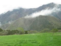 IMG_7381.JPG