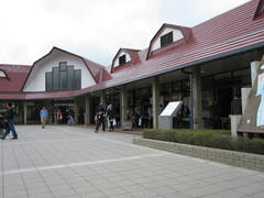 IMG_7385.JPG