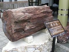 IMG_7405.JPG