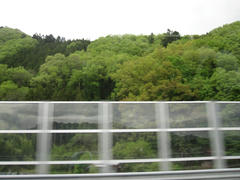IMG_7410.JPG