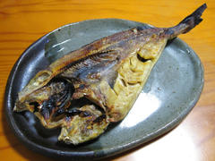 IMG_7450.JPG