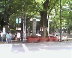 PICT0405.jpg
