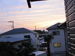 IMG_8058.JPG