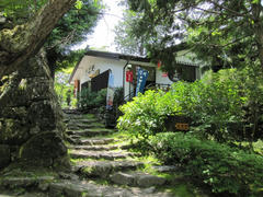 IMG_8118.JPG