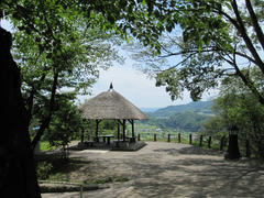 IMG_8155.JPG