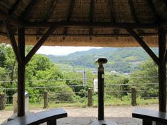 IMG_8157.JPG