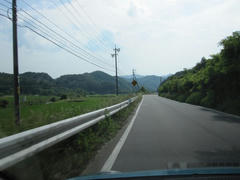 IMG_8224.JPG
