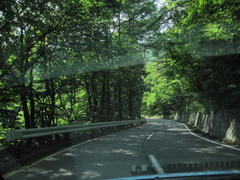 IMG_8243.JPG