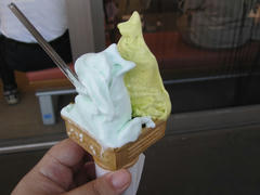 IMG_8766.JPG