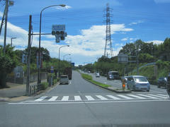 IMG_8767.JPG
