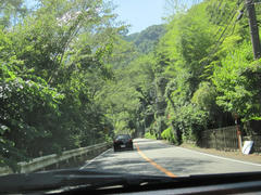 IMG_8780.JPG