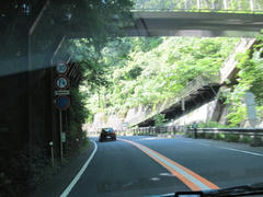IMG_8782.JPG