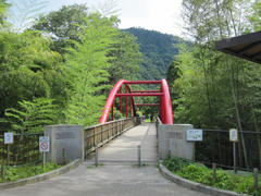 IMG_8798.JPG