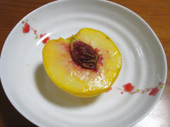 IMG_8875.JPG