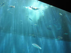 IMG_9372.JPG