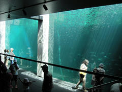 IMG_9373.JPG