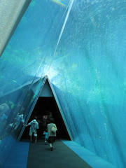 IMG_9380.JPG