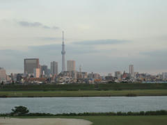 IMG_9479.JPG