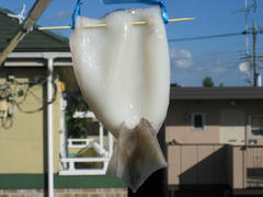 IMG_9525.JPG