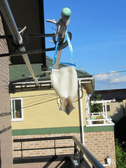 IMG_9526.JPG