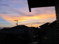 IMG_9573.JPG