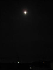 IMG_9614.JPG