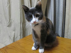 IMG_9776.JPG